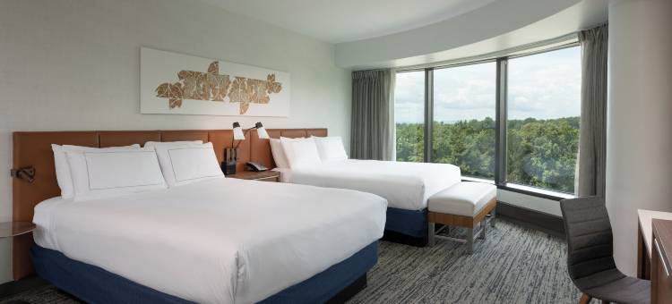 费尔法克斯希尔顿酒店(Hilton Fairfax)图片