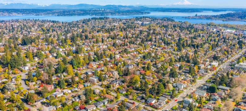 丁香法律(Lilac in Law, Picturesque Lower Unit)图片