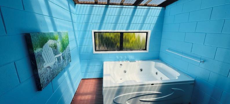 艾帕克斯芬登汽车旅馆(Apex on Fenton)图片