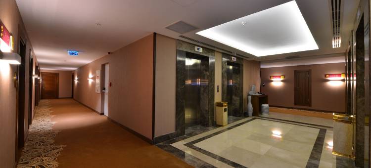 伊斯坦布尔玛姆特贝克拉丽奥酒店(Clarion Hotel Istanbul Mahmutbey)图片