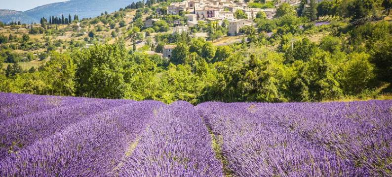洛吉斯酒店拉巴斯蒂德德恩特赖格斯(Logis Hôtel la Bastide d'Entraigues)图片