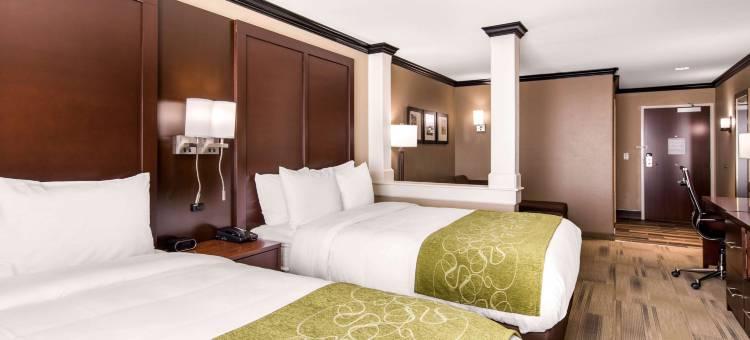 舒适套房酒店(Comfort Suites)图片