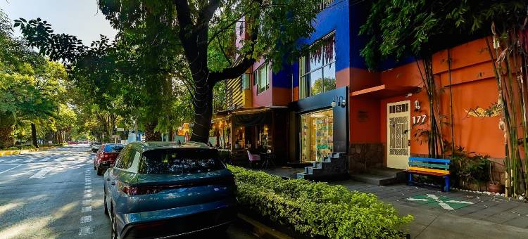 OYO安苏雷斯之家(OYO Casa Anzures Mexico City)图片