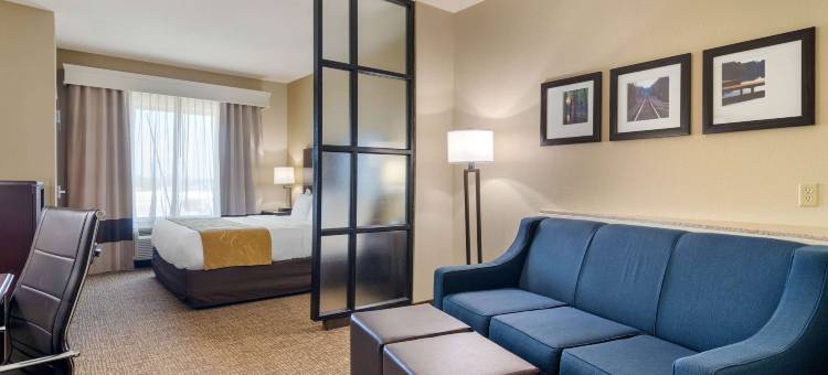 拜伦华纳罗宾斯舒适套房酒店(Comfort Suites Byron Warner Robins)图片
