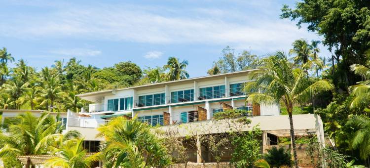 Engenho帆船(Velas do Engenho)图片