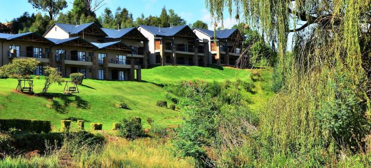 萨尼帕斯普瑞米尔度假酒店(Premier Resort Sani Pass)图片