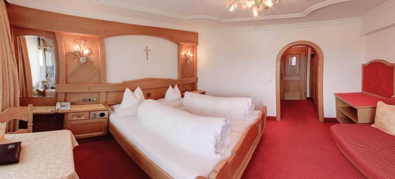 普尔奈酒店(Hotel Purner)图片