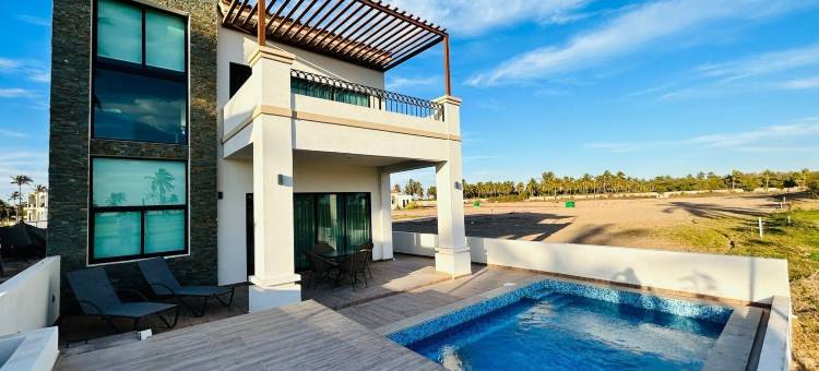 海星(Estrella de Mar)图片