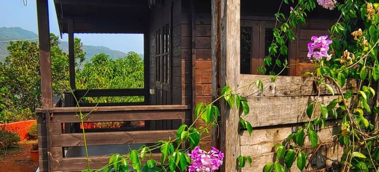 高地旅游点(On The High Ground)图片