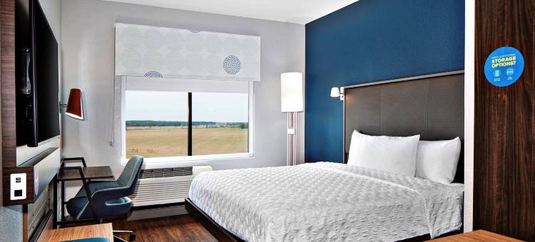 特雷尔希尔顿Tru酒店(Tru by Hilton Terrell)图片