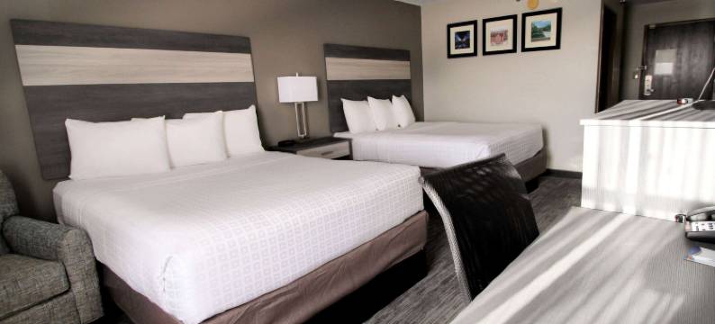 拉斐特呗盟套房酒店(Baymont Inn & Suites by Wyndham Lafayette / Purdue Area)图片