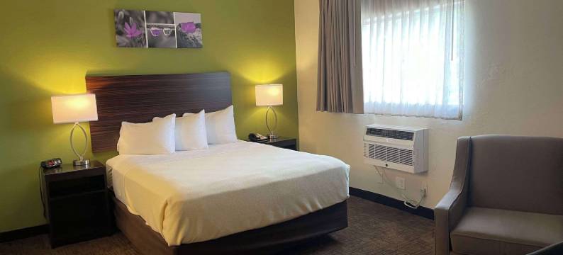 墨尔本机场郊区开放式客房酒店(Suburban Studios Melbourne Airport)图片