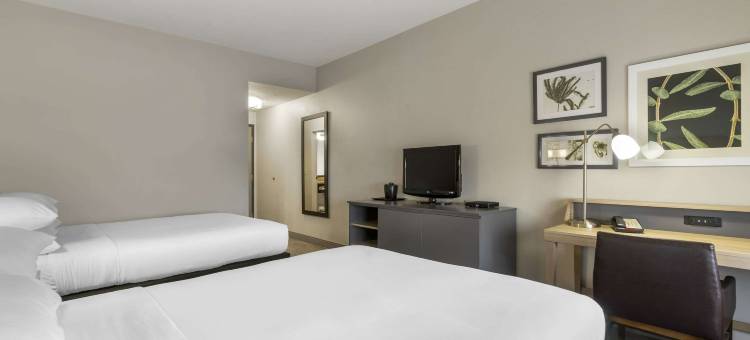 坦帕机场北丽怡酒店(Country Inn & Suites by Radisson, Tampa Airport North, FL)图片