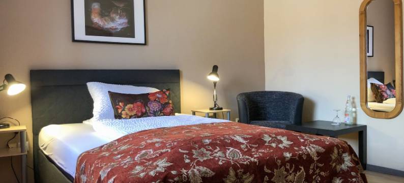 迪尼斯餐厅酒店(Hotel Restaurant Denis)图片