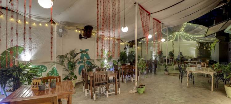 Treebo 兰杰特希瓦吉纳加尔(Treebo Ranjeet Shivaji Nagar)图片