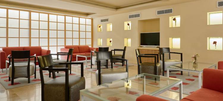 马西亚秃鹰酒店(Hotel Macià Cóndor)图片