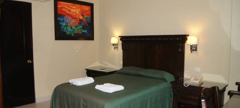 圣弗朗西斯科酒店(Hotel San Francisco)图片