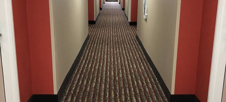 威奇托福尔斯舒适酒店-近大学(Comfort Inn Wichita Falls Near University)图片