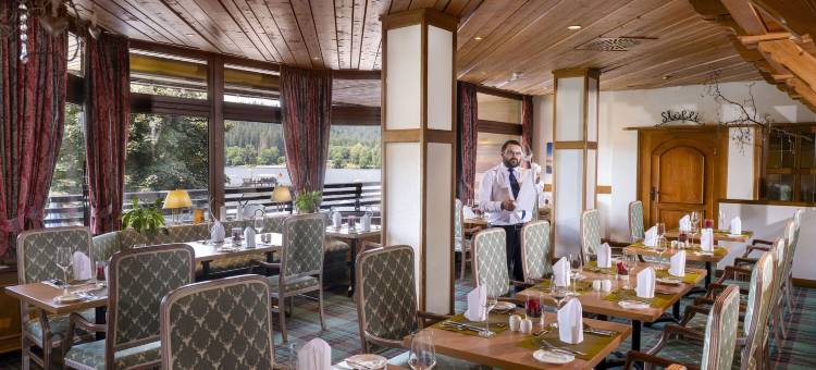 蒂蒂湖酒店(Maritim TitiseeHotel Titisee-Neustadt)图片
