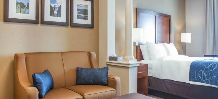 西沃里克 - 普罗维登斯舒适套房酒店(Comfort Suites West Warwick - Providence)图片