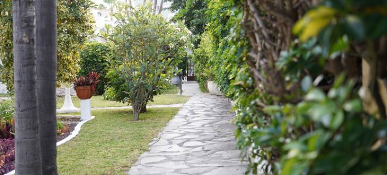 RF罗顿酒店(RF San Borondon)图片