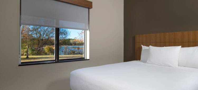 萨凡纳机场凯悦嘉轩酒店(Hyatt Place Savannah Airport)图片