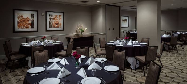 布伦特伍德纳许维尔套房希尔顿酒店(Hilton Brentwood/Nashville Suites)图片