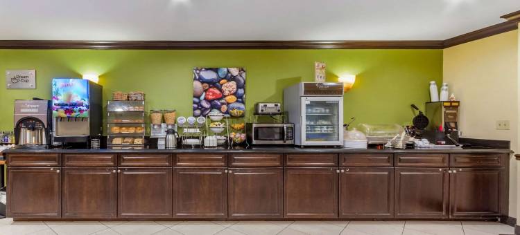 舒眠酒店及套房杰克逊维尔西(Sleep Inn & Suites Jacksonville West)图片