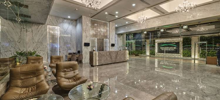 孟买金翅雀酒店(Goldfinch Hotel Mumbai)图片