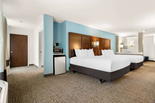 伦斯勒舒适套房酒店 - 近费尔奥克斯(Comfort Suites Rensselaer near Fair Oaks)