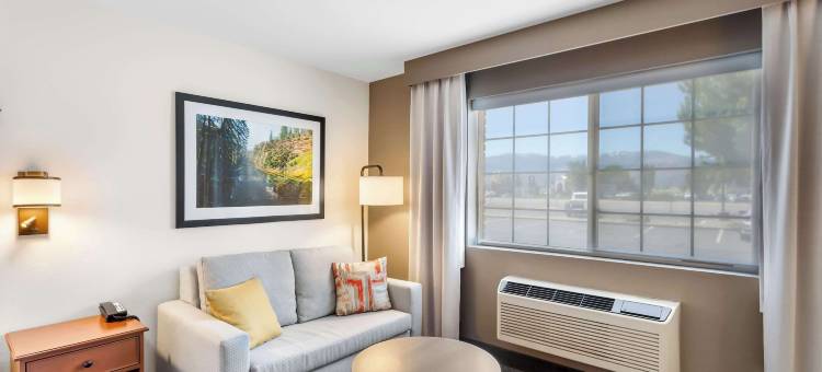 舒适酒店及套房苏珊维尔(Comfort Inn & Suites)图片