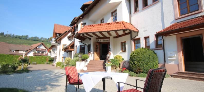 赫希酒店及餐厅(Hotel-Restaurant Hirsch)图片