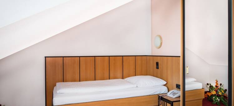 加布里埃尔城市花园酒店(Garten- Und Kunsthotel Gabriel City)图片