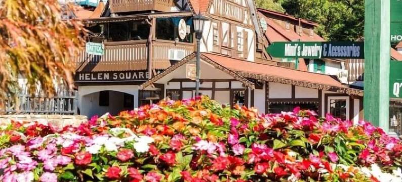 纳库奇谷小屋(Nacoochee Valley Lodge)图片