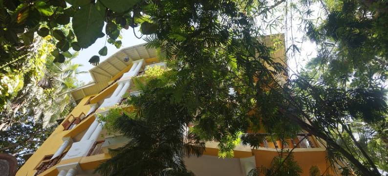 塔巴派尼度假酒店(Thambapanni Retreat)图片