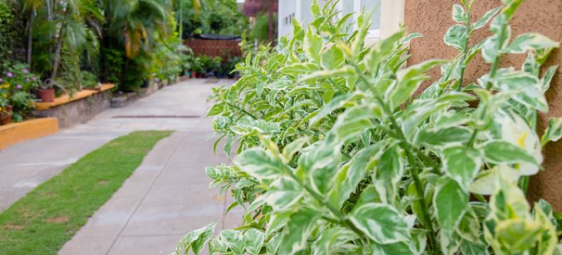 中心位置旅客公寓酒店(Centrally Located Guest Apartments)图片