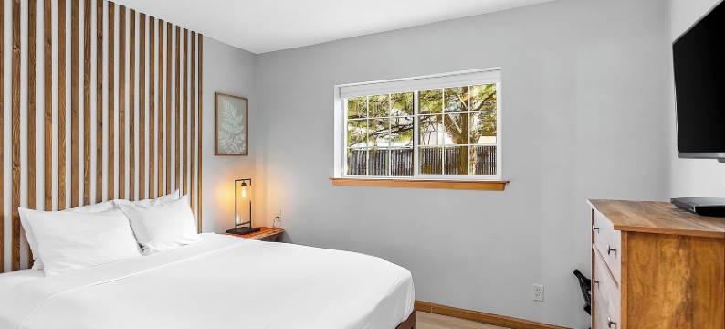 达莎的单板滑雪道 - 冰柱村(Dasha's Snowboard Track - Icicle Village)图片