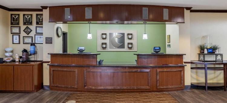 纳瓦索塔舒适套房酒店(Comfort Inn & Suites Navasota)图片