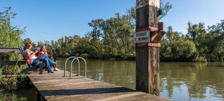 多德雷赫特 - 莎草森林国家公园好住青年旅舍(Stayokay Hostel Dordrecht - Nationaal Park de Biesbosch)图片