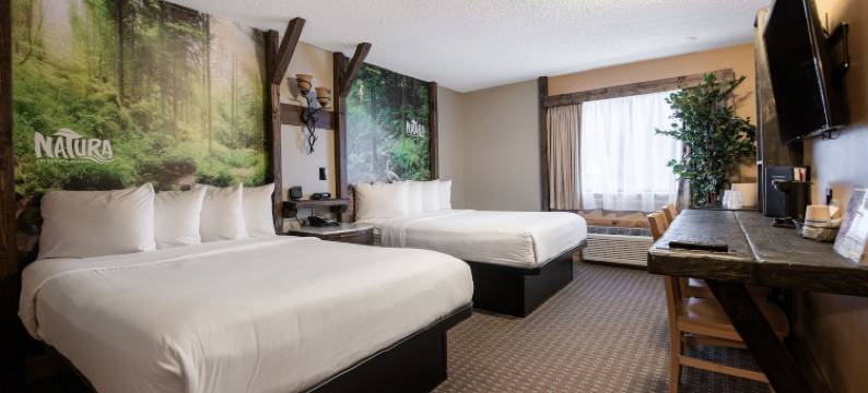 纳图拉崔斯凯普度假村(Natura Treescape Resort)图片