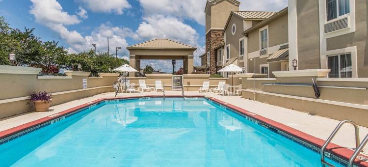 舒适套房酒店-近格林伍德大学(Comfort Inn & Suites Greenwood Near University)图片