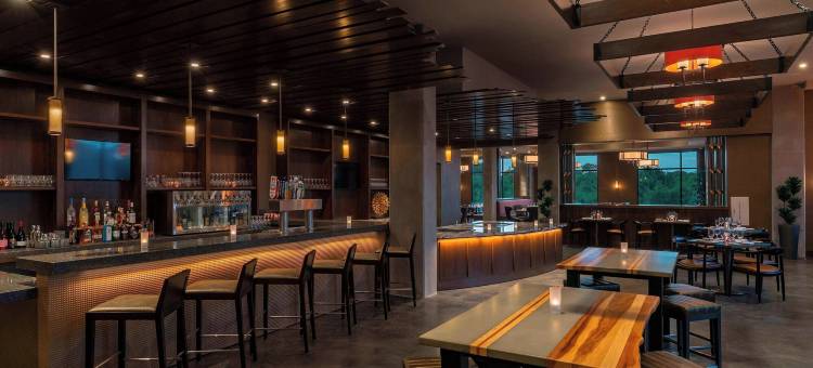 奥斯汀乔治敦喜来登酒店和会议中心(Sheraton Austin Georgetown Hotel & Conference Center)图片