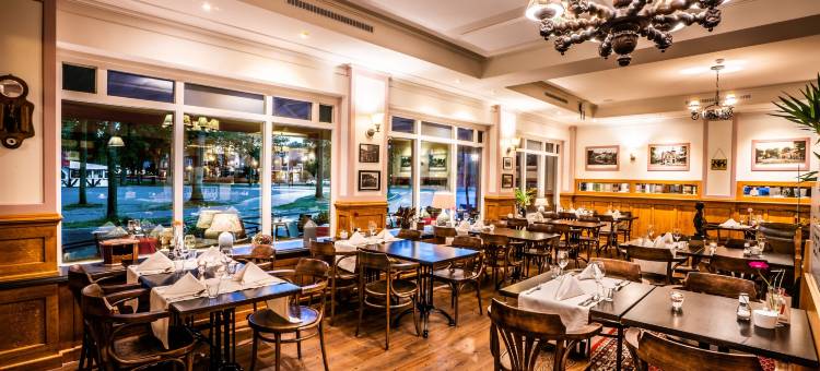 布灵克酒店(Brinkhotel)图片