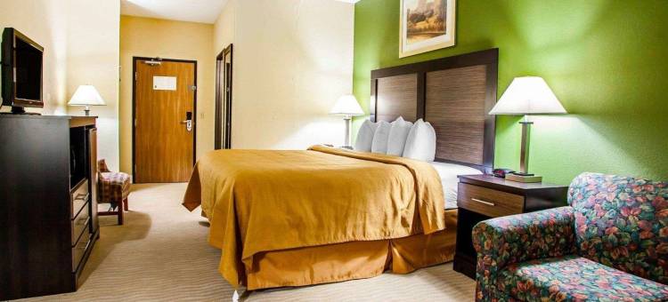 凯艺套房酒店(Quality Inn & Suites)图片