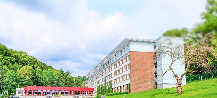 阿尔维斯公园酒店(Parc Hotel Alvisse)图片