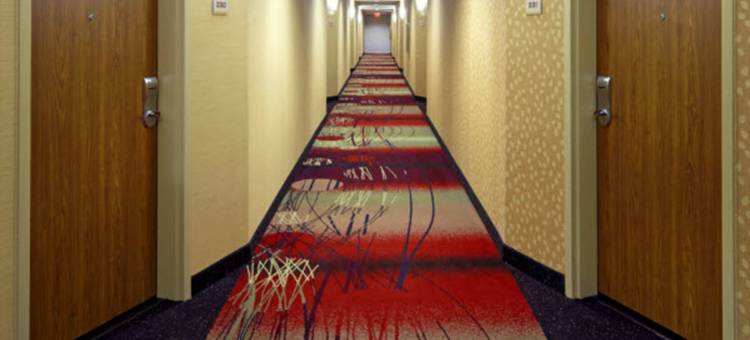 哥伦布俄亥俄州立大学万豪SpringHill酒店(SpringHill Suites Columbus OSU)图片