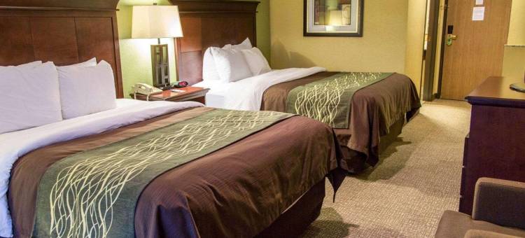 什里夫波特I-49舒适酒店(Comfort Inn Shreveport I-49)图片