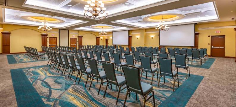 圣路易斯-切斯特菲尔德德鲁里广场酒店(Drury Plaza Hotel St. Louis Chesterfield)图片