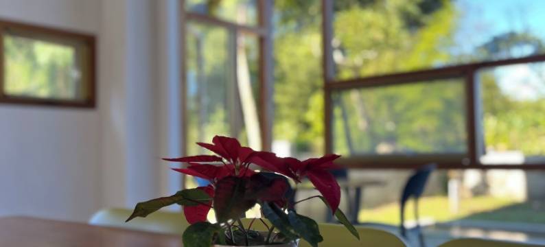 溪头有晴天民宿图片