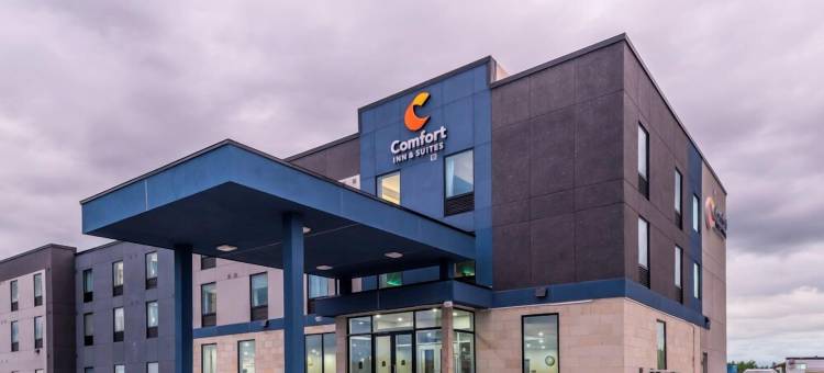 舒适套房酒店(Comfort Inn & Suites)图片